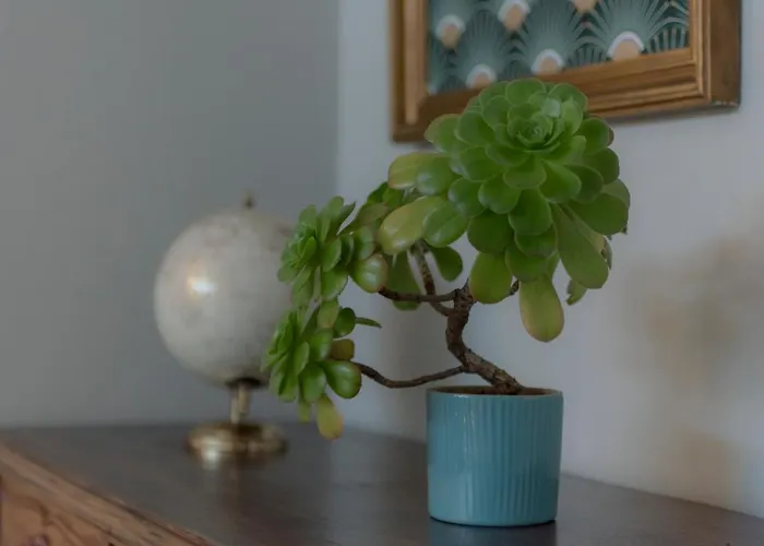 Mahouse Pensjonat 3*