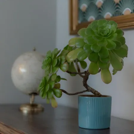 Màhouse Maison d'hôtes 3*